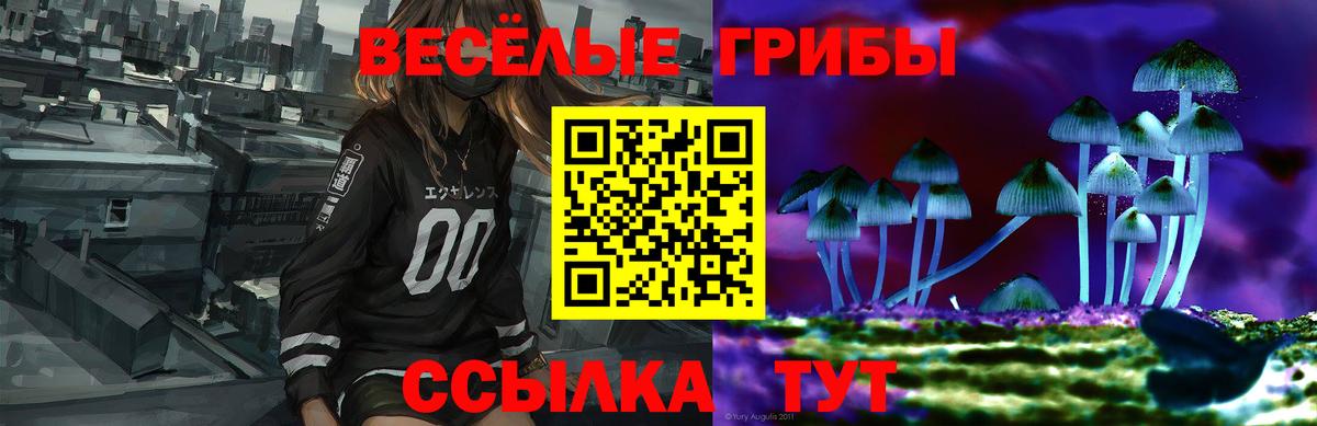 Alpha PVP Полысаево