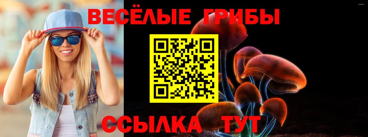Полысаево  Галлюциногенные грибы GOLDEN TEACHER  Вход с VPN 